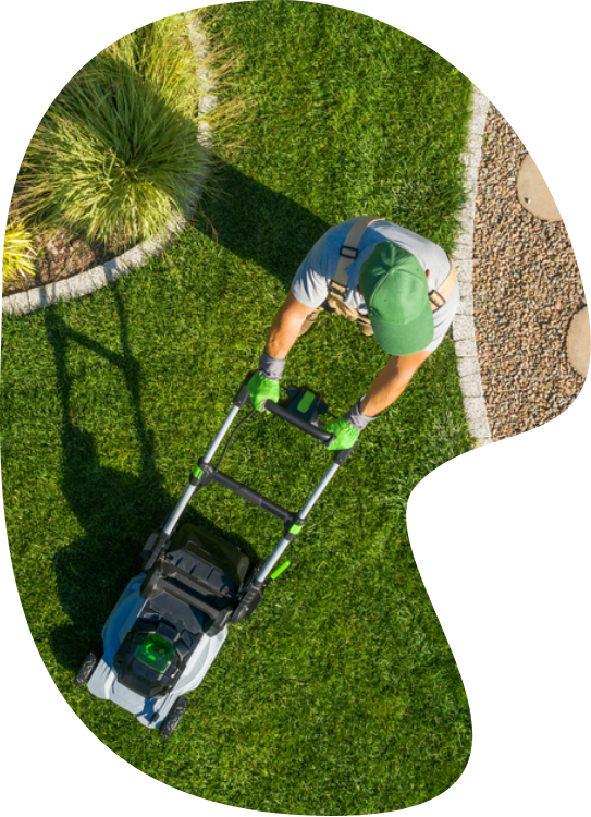 Sylvain Hoyon Services Entretien Jardin Valbonne Specialiste En Entretien Jardin