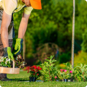Sylvain Hoyon Services Entretien Jardin Valbonne Votre Specialiste En Entretien De Jardin 3