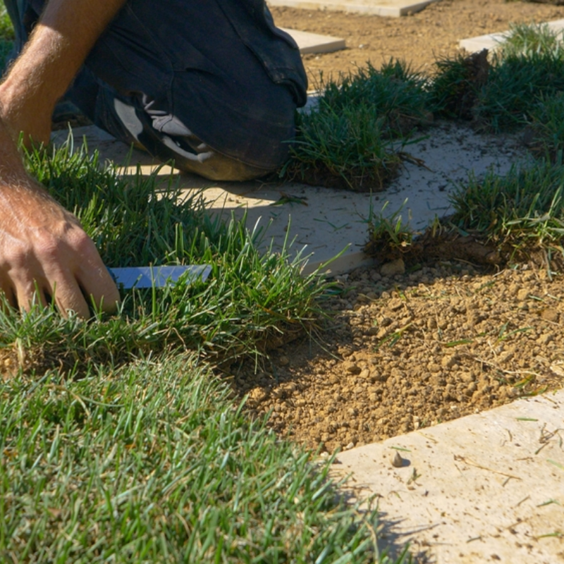 Sylvain Hoyon Services Entretien Jardin Valbonne Realisation 3 Avant
