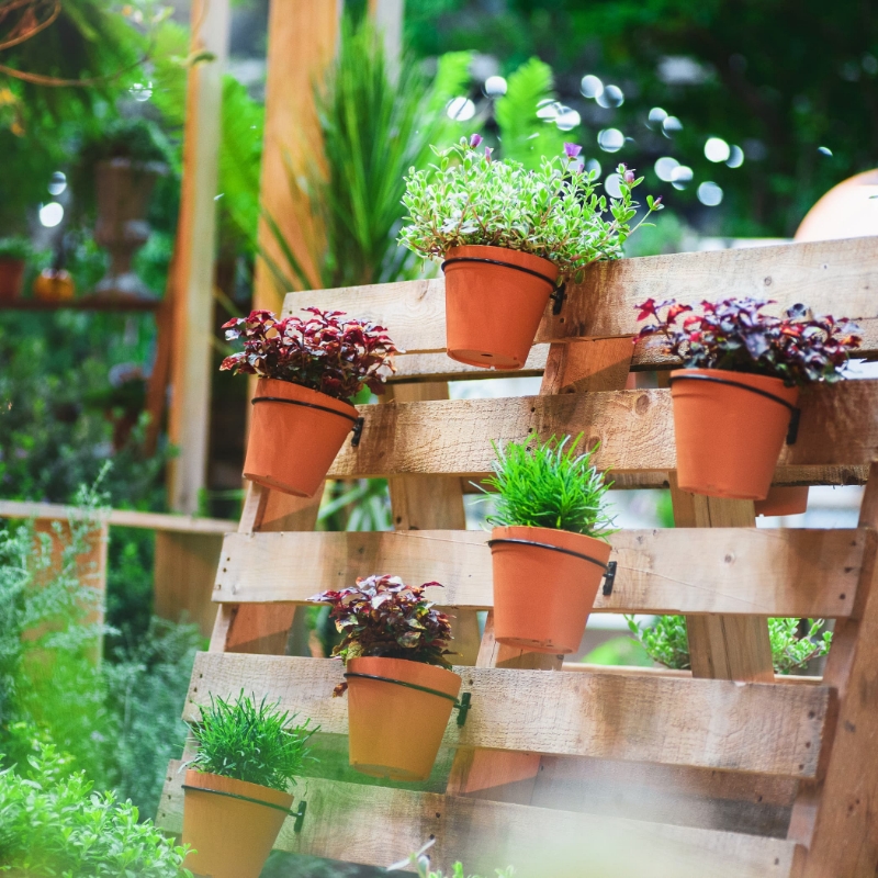Sylvain Hoyon Services Entretien Jardin Valbonne Bricolage 2