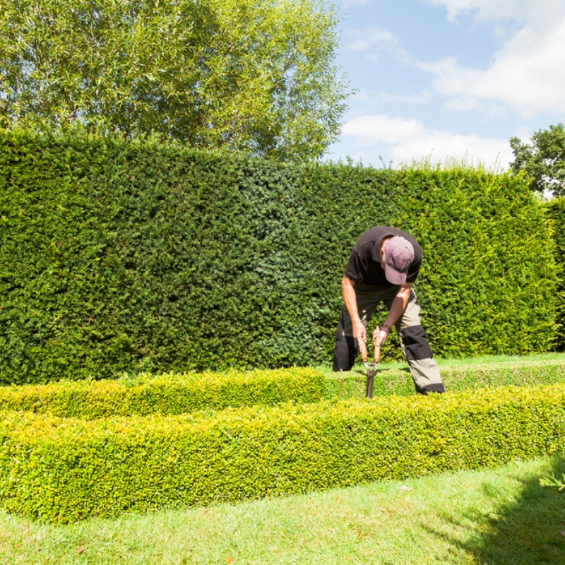 Sylvain Hoyon Services Entretien Jardin Valbonne Entretien De Jardin 1
