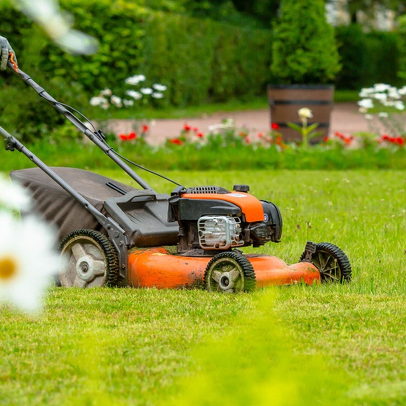 Sylvain Hoyon Services Entretien Jardin Valbonne Entretien De Jardin 2