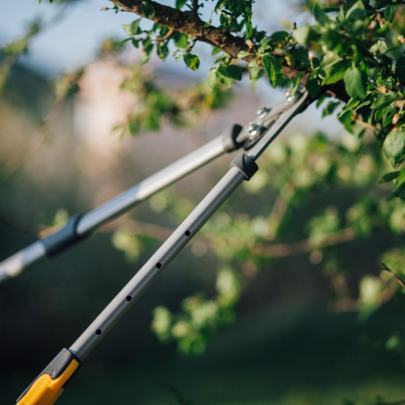 Sylvain Hoyon Services Entretien Jardin Valbonne Entretien De Jardin 3