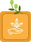 Sylvain Hoyon Services Entretien Jardin Valbonne Savoir Faire