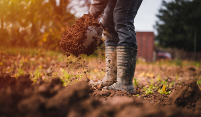 Sylvain Hoyon Services Entretien Jardin Valbonne Preparation Du Terrain