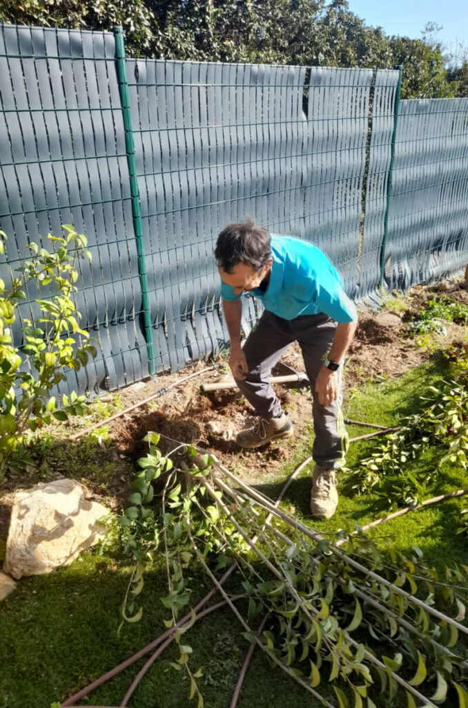 Sylvain Hoyon Services Entretien Jardin Valbonne Gazon Et Feuillages03 1