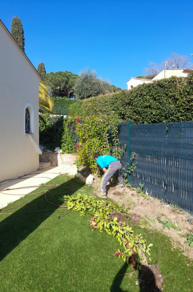 Sylvain Hoyon Services Entretien Jardin Valbonne Gazon Et Feuillages04 1